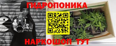 хмурый Краснодар