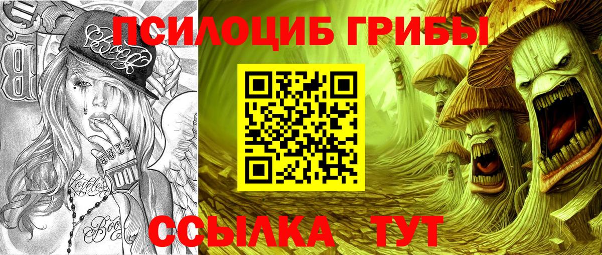 Псилоцибиновые грибы ЛСД Елабуга