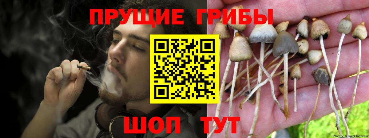 Елабуга  Галлюциногенные грибы GOLDEN TEACHER  Галлюциногенные грибы Magic Shrooms  закладки  Вход с VPN 